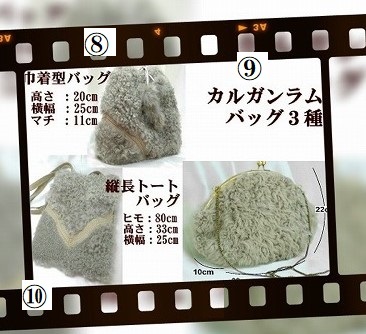 カルガンラムバッグ３種